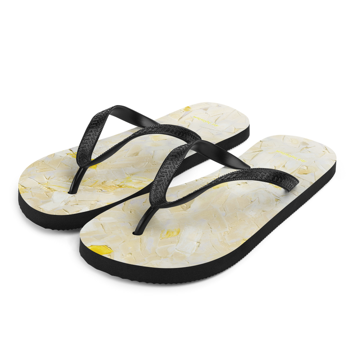 Flip-Flops WandY