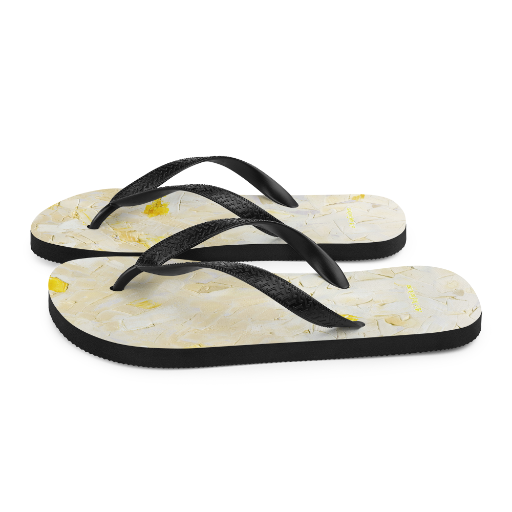 Flip-Flops WandY